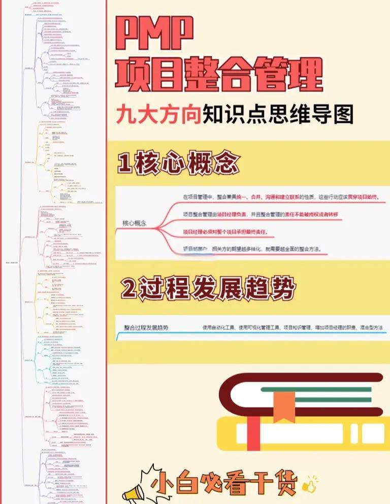 整合项目管理服务(项目整合管理的主要工作是)大理市