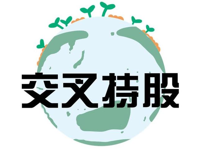 交叉持股安排设计(交叉持股怎么计算持股比例)大理市