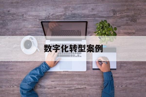 数字化转型案例(数字化转型案例公司)大理市