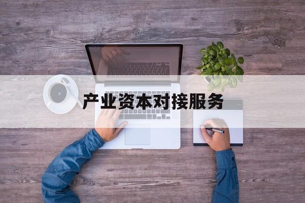 产业资本对接服务(产业资本对接服务包括哪些)大理市